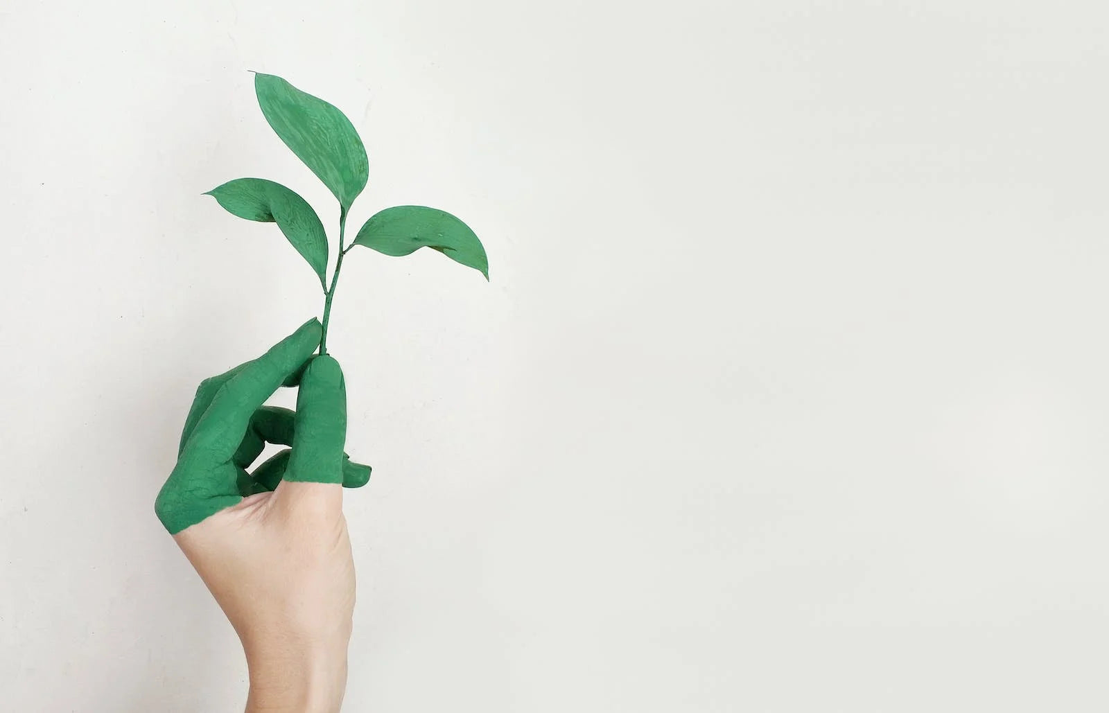 Sustainable Fashion Icons: Inspiring Individuals Making a Difference